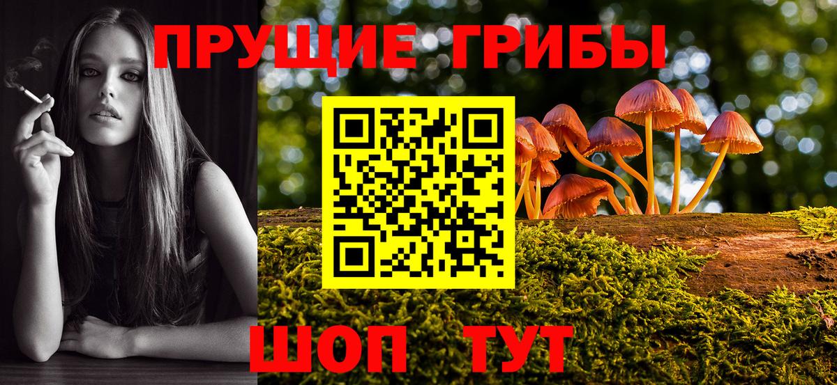 Галлюциногенные грибы прущие грибы  Галлюциногенные грибы GOLDEN TEACHER  Вход с VPN  Всеволожск 