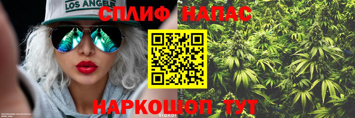 Бошки марихуана OG Kush  Вход с VPN  Всеволожск  Канабис White Widow  Марихуана OG Kush 